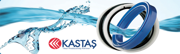 animasyon-10836-kastas-anasayfa-anim2